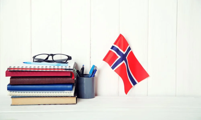 تحصیل رایگان در نروژ - مزایا و معایب تحصیل در نروژ